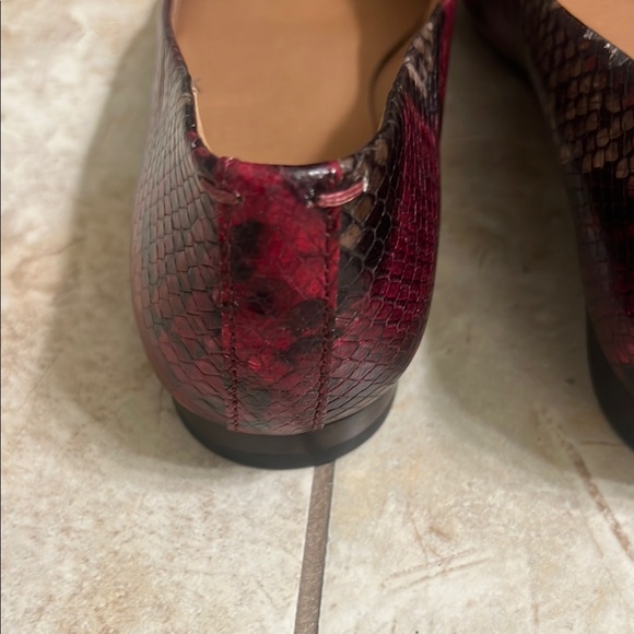 Frye NWOT Stylish Women's Flats - Picture 4 of 11